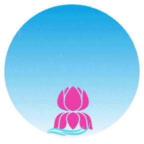 Animation